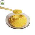 Berberis Vulgaris Extract Berberine Hydrochloride Powder